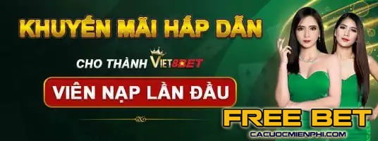 Yêu cầu để trở thành thành viên đại lý Ffok - Ffok